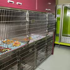 All pets clinic is a hospital & health care company based out of 1741 e silver springs blv, ocala, florida, united states. All Pets Clinic Ocala Fl