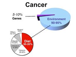 Urban Malnutrition Cancer Research Pie Chart Showing The