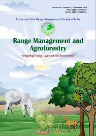 Image result for Sehima