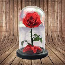 You are sure to find the perfect gift for any occasion. The Enchanted Rose R100 Floral Garage Sg