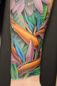 Realistic Bird Of Paradise Flower Tattoo Ideas For Bird Of Paradise Flower Tattoos Bird Of Paradise Tattoo Paradise Tattoo Birds Of Paradise Flower