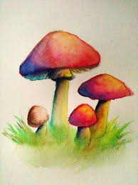 See more ideas about stuffed mushrooms, mushroom art, magical mushrooms. Pin By Sarah Boddington On Acquerelli Fall Watercolor Mushroom Art Watercolor Art