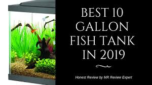 10 Gallon Fish Tank Buyers Guide By Mr Review Expert