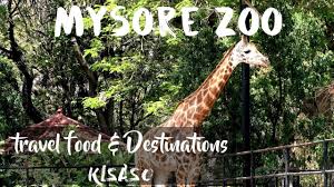 Mysore Zoo Anaconda Tiger Birds And All Information Mysore Zoo Tourist Places Places To Visit