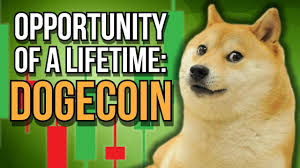There is no evidence that musk had anything at all to do with its creation. Dogecoin Doge The Opportunity Of A Lifetime Youtube