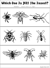 Which Is Not An Insect Preschool Worksheets Biology For Kids Kids Worksheets Printables