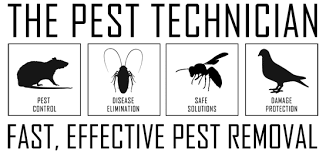 Pest control in 15th march 2021 liam is a great guy and offers first class service and advice on controlling rats that entered my kitchen following. The Pest Technician Pest Control In Teesside Cleveland