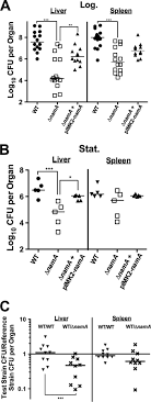 Actin Polymerization Drives Septation Of Listeria Monocytogenes Nama Hydrolase Mutants Demonstrating Host Correction Of A Bacterial Defect Infection And Immunity Buat kamu para cewek, mungkin bisa menggunakan nama di bawah ini. listeria monocytogenes