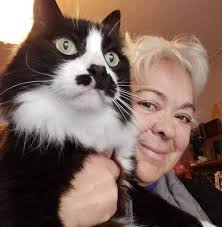 POR FAVOR SIGAM NOSSO INSTAGRAM OFICIAL DE NOSSO GRUPO E MANDEM FOTOS QUE  IREMOS PUBLICAR.  https://instagram.com/euamogatosbrasil?igshid=NGExMmI2YTkyZg== Dayana X  Daniel, Maria Isabel Lopes Pinto, Soraya Da Conceição Oliveira Oliveira,  Alexandre Vieira ...