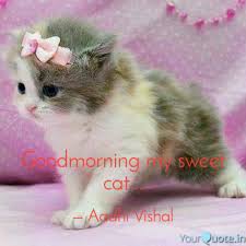 Goodmorning My Sweet Cat Quotes Writings By Aadhi Vishal Yourquote