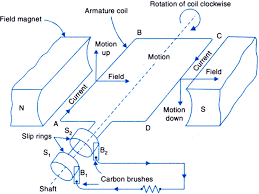 You are very important to us. Draw A Labelled Diagram To Explain The Principle Underlying The Working Of An Electric Generator From Science Magnetic Effects Of Electric Current Class 10 Cbse