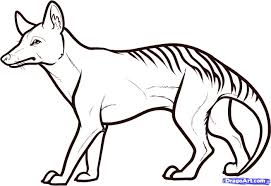 How To Draw A Tasmanian Tiger Tasmanian Wolf Step 8 Tasmanian Tiger Animal Drawings Drawings