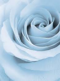 Pin On Soft Blue