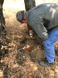 Metal detector pinpointer is an important tool that can become decisive when looking for some a pinpointer is a metal detecting tool used to locate the target when digging for a treasure. Metal Detector Rental Marin County
