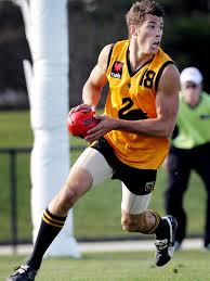 Former richmond tigers defender alex rance poised for shock return to football in 2021. Alex Rance Footy Return In 2021 Perth Football League Swan Valley Afl Herald Sun