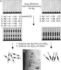 Ddx x 3 = 3x 3−1 = 3x2. Integrierte Hybridsysteme Aus Nanopartikeln Und Biomolekulen Synthese Eigenschaften Und Anwendungen Katz 2004 Angewandte Chemie Wiley Online Library