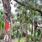 Florida Backcountry: Guided Day Hike Experience