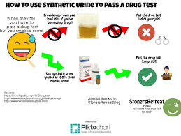 how to p a urine test for weed