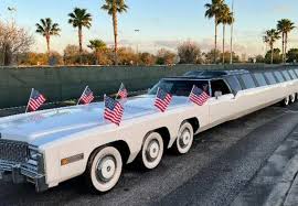 Image result for Limosella maior