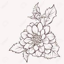 Vector Dahlia Flower Isolated On White Background Element For Dahlia Flower Tattoos Vector Flowers Flower Drawing
