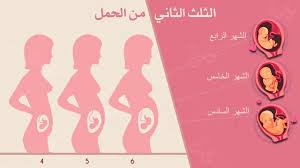 الحمل في الأسبوع الثاني والأربعين حوامل