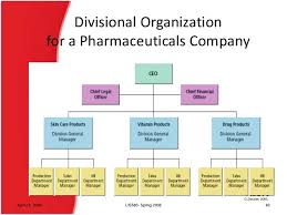 Organizational Structure