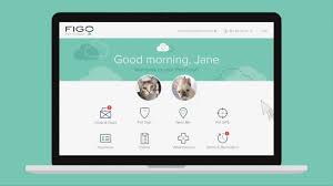 We did not find results for: Dog Health Insurance Figo The Insured Pet