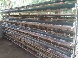 Check spelling or type a new query. Jual Bibit Puyuh Telur Puyuh Daging Puyuh Kandang Puyuh Home Facebook