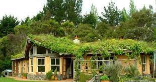 Food Issues Earth Sheltered Homes Earthship Home Natural Building