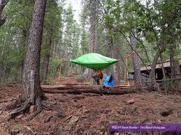 The duo is the latest addition to the tentsile range, and the world's largest double camping hammock. Tentsile Stingray Tree Tent Review The Ultimate Hang