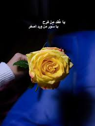 Pin By Noor On Flower In 2020 Flowers Food Vegetables