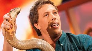 Freek vonk is op de bahama's gebeten door een haai. Dwdd University Presenteert Evolutie Door Freek Vonk