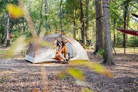 These campgrounds offer primitive camping, rv hooks, cabins, rentals and great activities. Can You Camp For Free In Texas Hipcamp Journal Stories For Hipcampers And Our Hosts