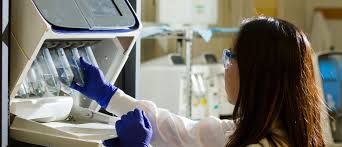 If you have ulcers from an h. 6 Expert Essays On The Future Of Biotech World Economic Forum