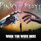 Pinky and the Floyd
