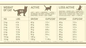 Feeding your cat with wet food daily carries no harm if done correctly. Purchase How Much Dry Food To Give A Kitten Up To 74 Off