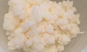 淺談奶克菲爾milk kefir kay小姐楓生活 痞客邦 veggie recipes snack recipes snacks