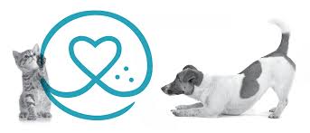 Life insurance issued by farmers new world life insurance company, a washington domestic company: Find Pet Insurance Naphia