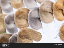 Hair Color Chart Image Photo Free Trial Bigstock