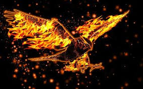خلفيات ايفون نار Cool Fire Wallpaper Iphone Eagle Wallpaper Angel Wallpaper Beautiful Pictures Hd