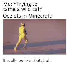 We did not find results for: Me Trying To Tame A Wild Cat Ocelots In Minecraft It Really Be Like That Huh Be Like Meme On Me Me