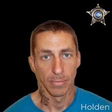 Two drug busts, stolen firearm recovered