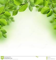 Leaf border stock photos and images. Leaf Border Clipart Backgrounds For Powerpoint Templates Ppt Backgrounds