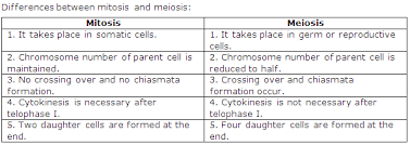 Maybe you would like to learn more about one of these? Chapter 1 Cell Division Frank Modern Certificate Solutions For Class 10 Biology Icse Topperlearning