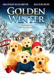 Golden retriever puppies for sale. Golden Winter 2012 Imdb