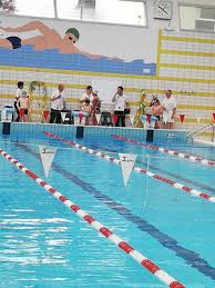 Actualite Site De Asc Le Havre Natation