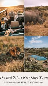 On Safari Near Cape Town Gondwana Game Reserve South Africa Away Lands The On Cape Town South Africa Travel South Africa Safari Game Reserve South Africa