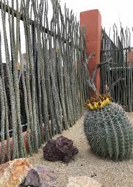 Cactus fence & construction, pearland, texas. Ocotillo Fence Panels Acme Sand Gravel
