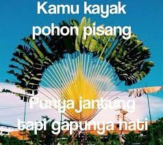 Banyak sekali variasi resep bebek ini yang cukup terkenal seperti resep masakan bebek goreng madura bebek sambal ijo rica rica ataupun resep bebek h slamet yang sudah membuka. Kamu Kayak Pisang Punya Jantung Tp Gak Punya Hati Lucu Kata Kata Ungkapan Lucu