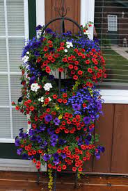Apr 01, 2021 · red flowers have several advantages in a garden. 2015 Baskets Red Calibrachoa Blue Lobelia White Verbena And Creeping Jenny Flower Garden Design Planting Flowers Container Flowers